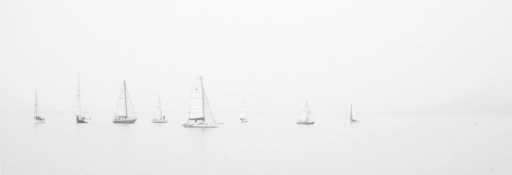 Boats moored at the harbour